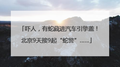 吓人，有蛇藏进汽车引擎盖！北京9天接9起“蛇警”……