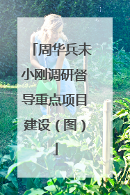 周华兵未小刚调研督导重点项目建设（图）