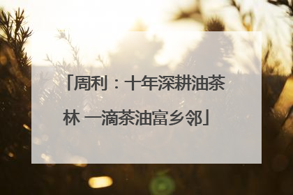 周利：十年深耕油茶林 一滴茶油富乡邻