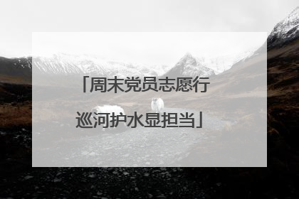 周末党员志愿行 巡河护水显担当