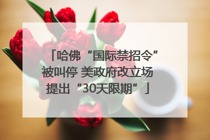 哈佛“国际禁招令”被叫停 美政府改立场提出“30天限期”