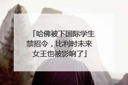 哈佛被下国际学生禁招令，比利时未来女王也被影响了