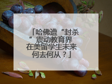 哈佛遭“封杀”震动教育界 在美留学生未来何去何从？