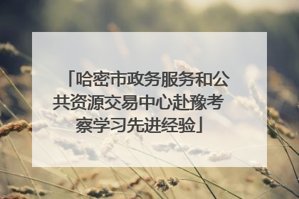 哈密市政务服务和公共资源交易中心赴豫考察学习先进经验