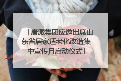 唐派集团应邀出席山东省居家适老化改造集中宣传月启动仪式