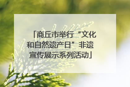 商丘市举行“文化和自然遗产日”非遗宣传展示系列活动