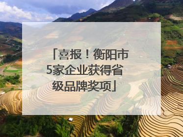 喜报！衡阳市5家企业获得省级品牌奖项