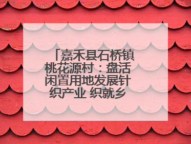 嘉禾县石桥镇桃花源村：盘活闲置用地发展针织产业 织就乡村振兴新图景