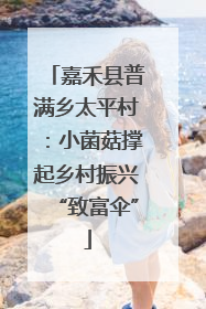 嘉禾县普满乡太平村：小菌菇撑起乡村振兴“致富伞”
