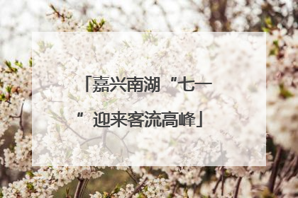 嘉兴南湖“七一”迎来客流高峰