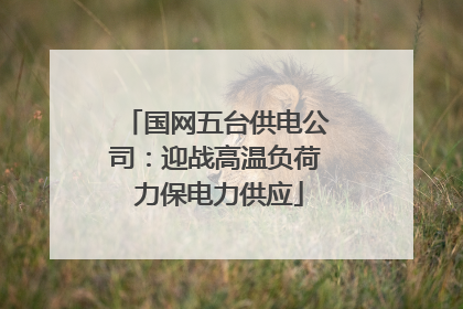 国网五台供电公司：迎战高温负荷 力保电力供应