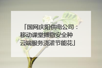 国网庆阳供电公司：移动课堂播撒安全种 云端服务浇灌节能花