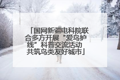 国网新疆电科院联合多方开展“爱鸟护线”科普交流活动 共筑鸟类友好城市