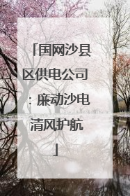 国网沙县区供电公司：廉动沙电 清风护航