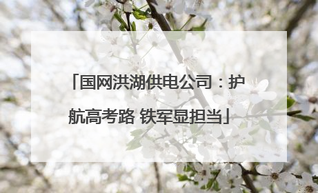 国网洪湖供电公司：护航高考路 铁军显担当