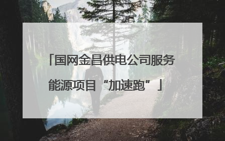 国网金昌供电公司服务能源项目“加速跑”