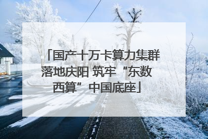 国产十万卡算力集群落地庆阳 筑牢“东数西算”中国底座