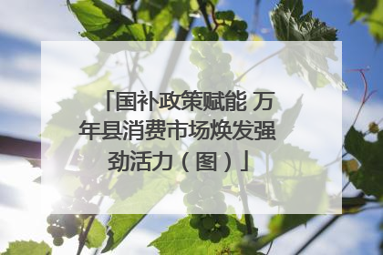国补政策赋能 万年县消费市场焕发强劲活力（图）
