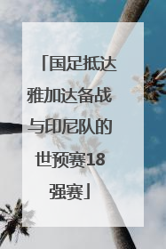 国足抵达雅加达备战与印尼队的世预赛18强赛