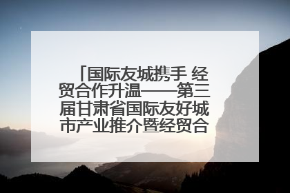 国际友城携手 经贸合作升温——第三届甘肃省国际友好城市产业推介暨经贸合作对接活动特写