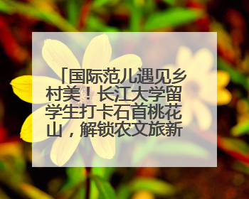 国际范儿遇见乡村美！长江大学留学生打卡石首桃花山，解锁农文旅新玩法！