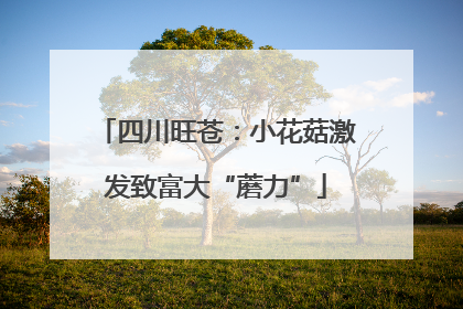 四川旺苍：小花菇激发致富大“蘑力”