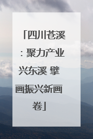 四川苍溪：聚力产业兴东溪 擘画振兴新画卷