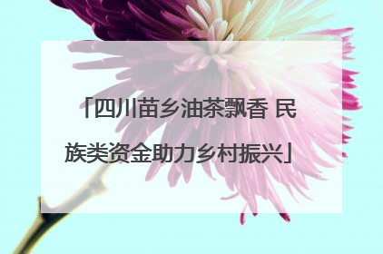 四川苗乡油茶飘香 民族类资金助力乡村振兴