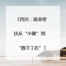 四川：就业帮扶从“小摊”到“数字工匠”