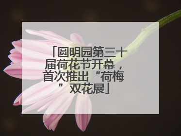 圆明园第三十届荷花节开幕，首次推出“荷梅”双花展