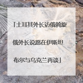 土耳其外长访俄斡旋 俄外长说愿在伊斯坦布尔与乌克兰再谈