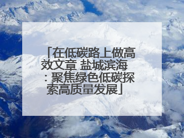 在低碳路上做高效文章 盐城滨海：聚焦绿色低碳探索高质量发展