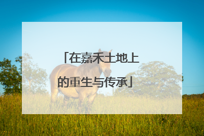 在嘉禾土地上的重生与传承