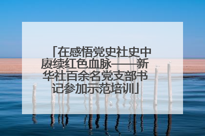 在感悟党史社史中赓续红色血脉——新华社百余名党支部书记参加示范培训