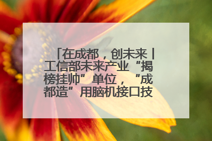 在成都，创未来丨工信部未来产业“揭榜挂帅”单位，“成都造”用脑机接口技术造福孤独症儿童