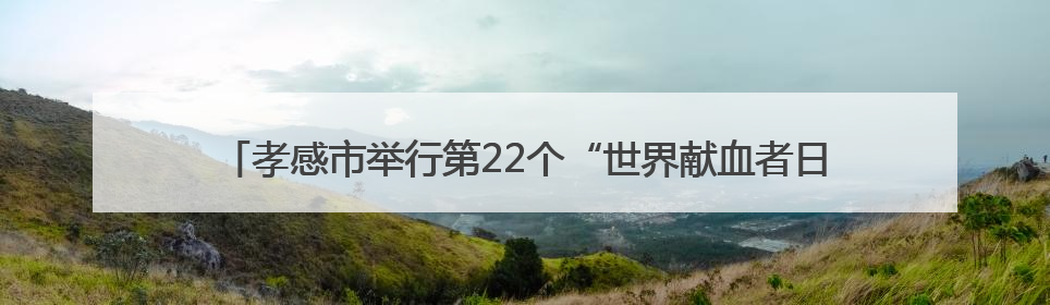 孝感市举行第22个“世界献血者日”活动，150名无偿献血志愿者代表用脚步丈量“中华孝爱第一山”