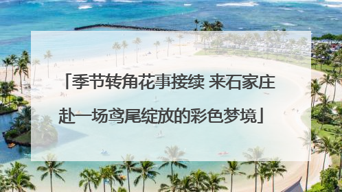 季节转角花事接续 来石家庄赴一场鸢尾绽放的彩色梦境