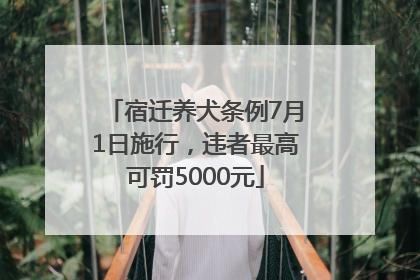 宿迁养犬条例7月1日施行，违者最高可罚5000元