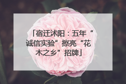 宿迁沭阳：五年“诚信实验”擦亮“花木之乡”招牌