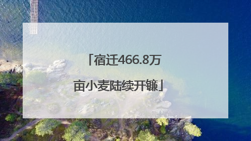 宿迁466.8万亩小麦陆续开镰