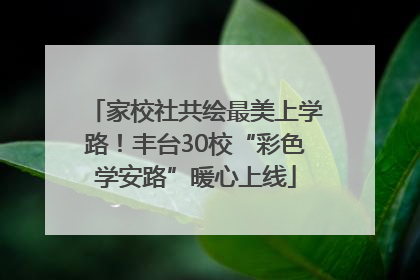 家校社共绘最美上学路！丰台30校“彩色学安路”暖心上线
