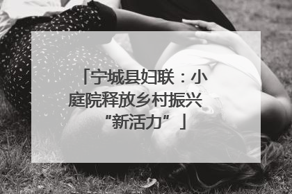 宁城县妇联：小庭院释放乡村振兴“新活力”