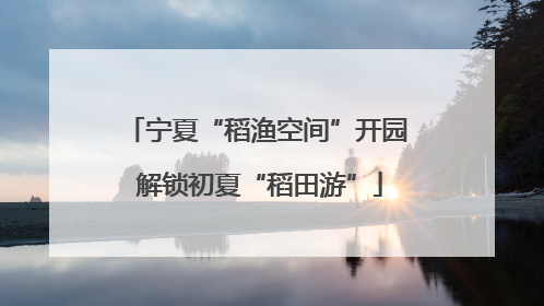 宁夏“稻渔空间”开园 解锁初夏“稻田游”