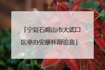 宁夏石嘴山市大武口区举办安康杯辩论赛