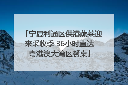 宁夏利通区供港蔬菜迎来采收季 36小时直达粤港澳大湾区餐桌
