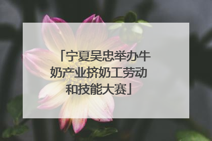 宁夏吴忠举办牛奶产业挤奶工劳动和技能大赛
