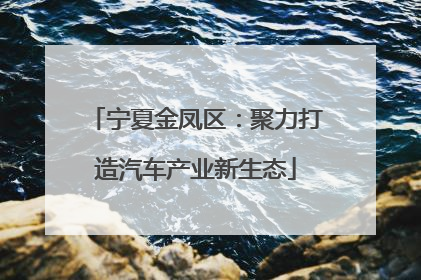 宁夏金凤区：聚力打造汽车产业新生态