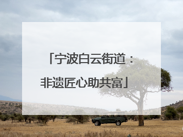 宁波白云街道：非遗匠心助共富