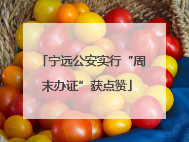 宁远公安实行“周末办证”获点赞