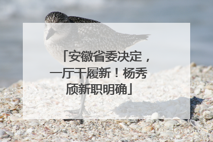 安徽省委决定，一厅干履新！杨秀颀新职明确